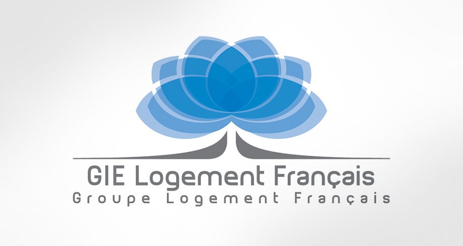 actualite-gie-logement-francais-920x489.jpg